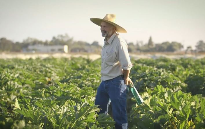 Squash breeder Bill Johnson.