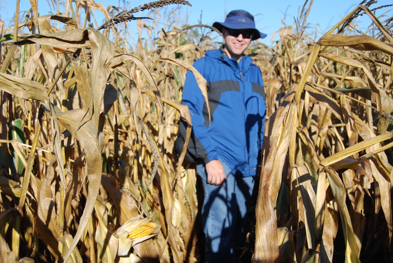 Sam Eathington checks on a corn crop nearing harvest. Sam has been a breeder for more than 20 years at Monsanto.