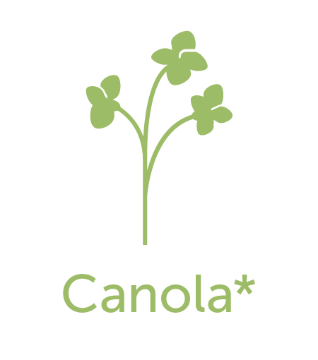 Canola