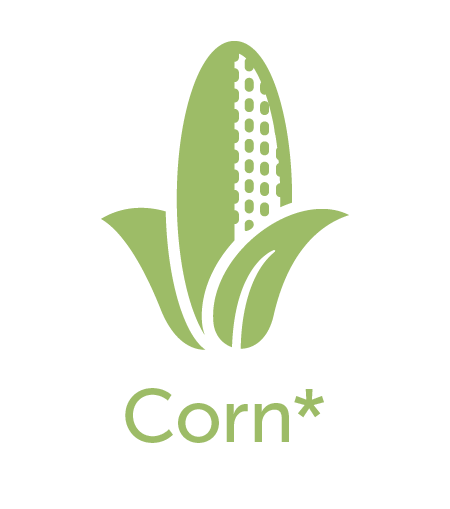 Corn