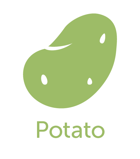 Potato