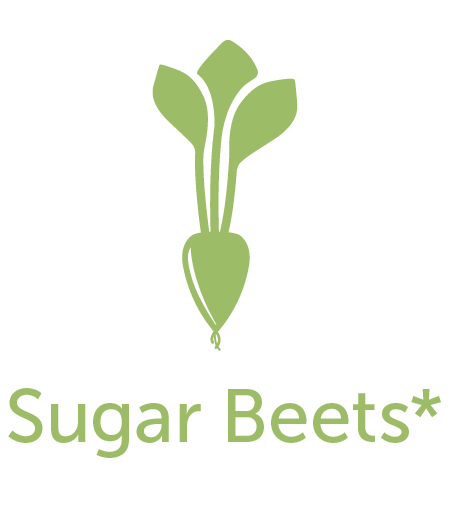 Sugar Beets